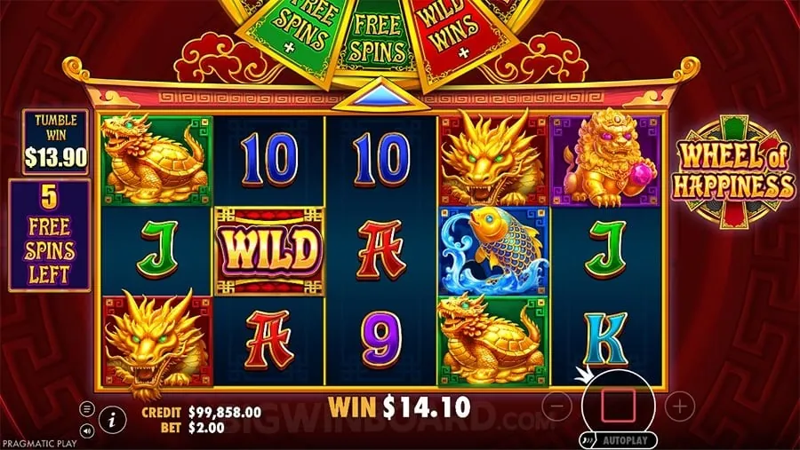 Live sports betting experience